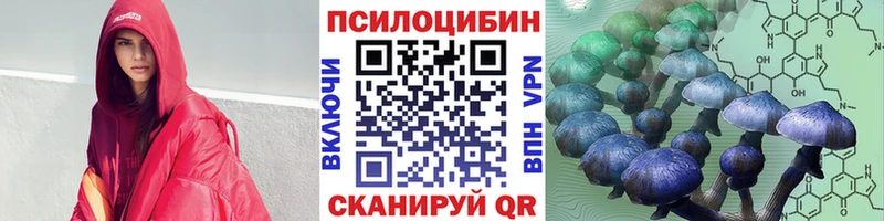 Галлюциногенные грибы Psilocybe  Волхов 