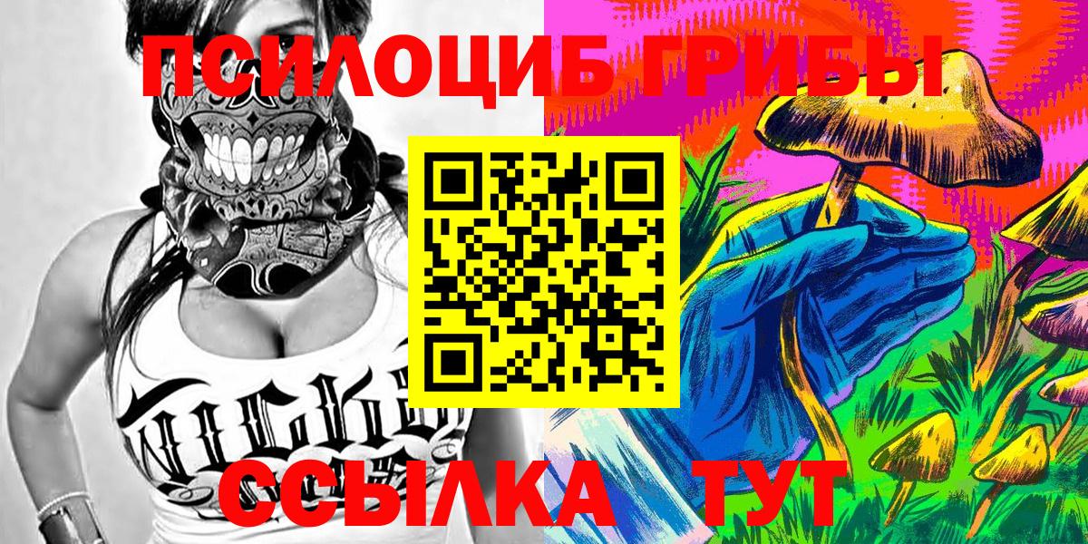 Псилоцибиновые грибы Psilocybe  Псилоцибиновые грибы мухоморы  Волхов  Вход с VPN 
