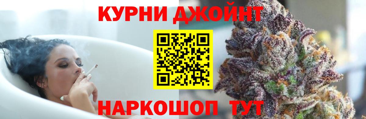 Шишки марихуана план  Вход с VPN  Шишки марихуана OG Kush  Волхов 